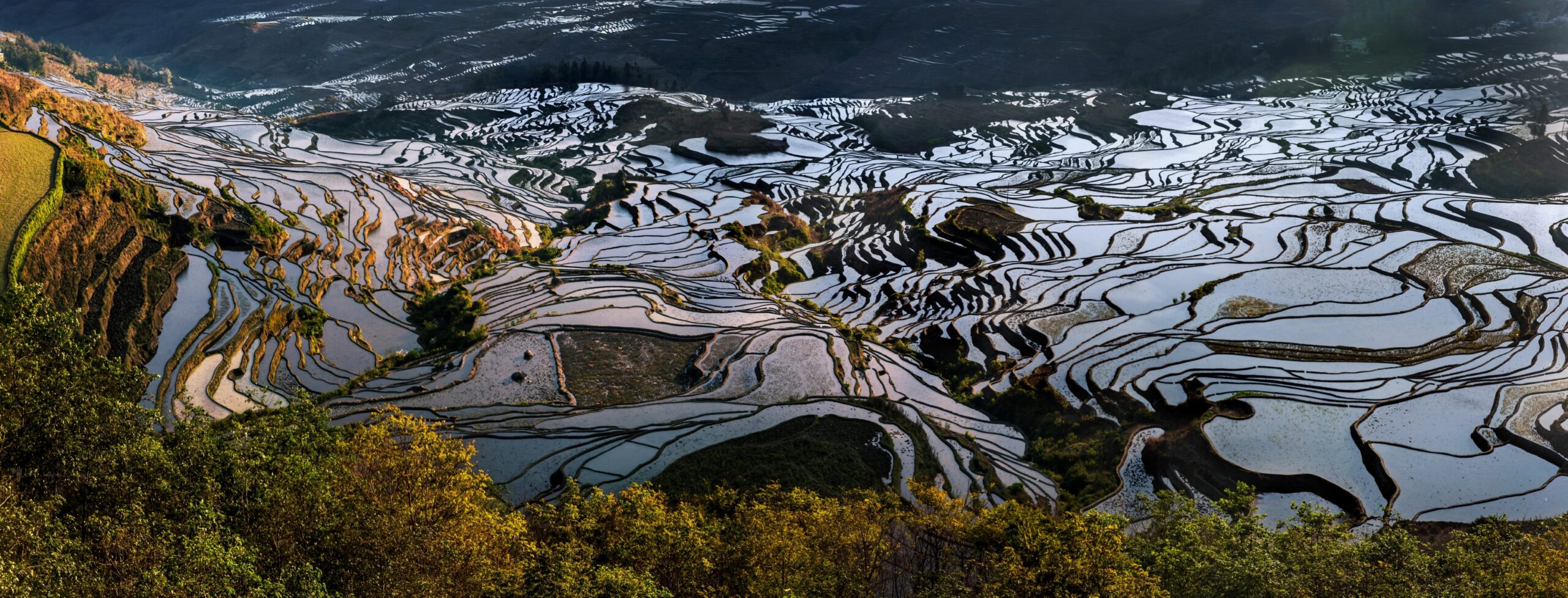 紅河ハニ族棚田群の文化的景観