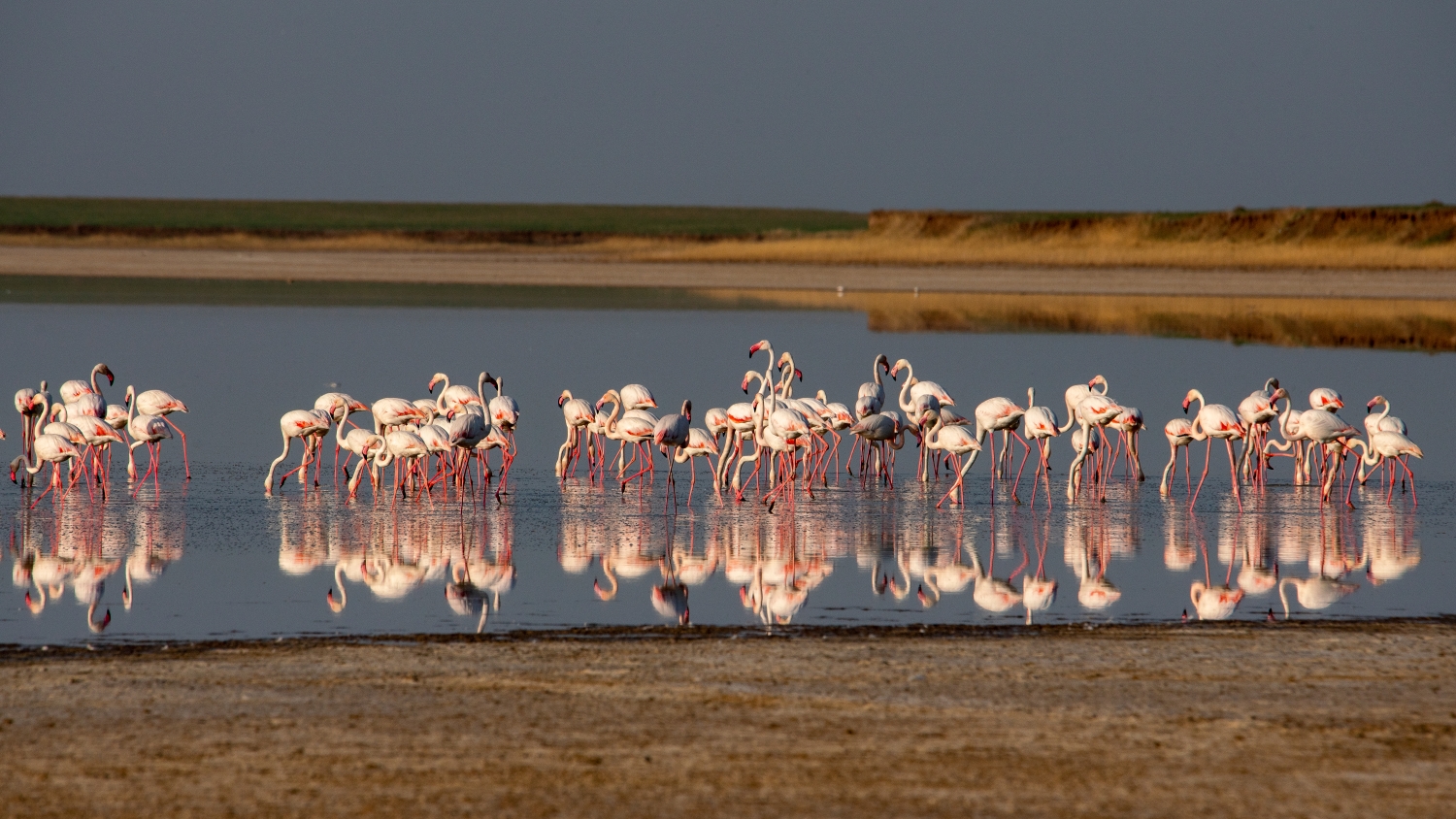 サリアルカ：北部カザフスタンの草原と湖群