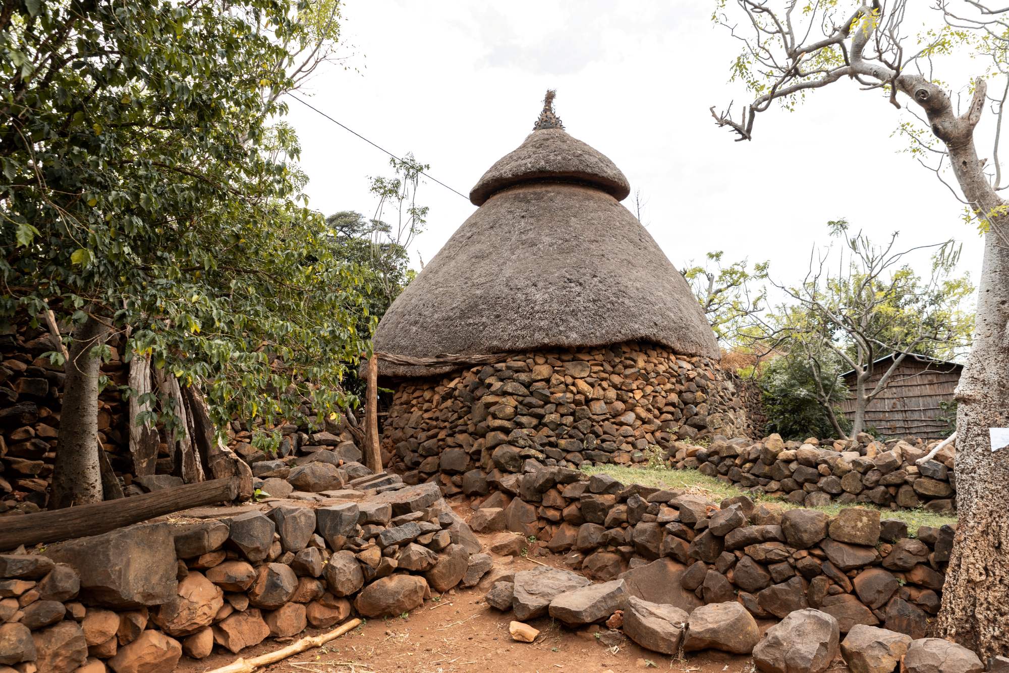 コンソの文化的景観