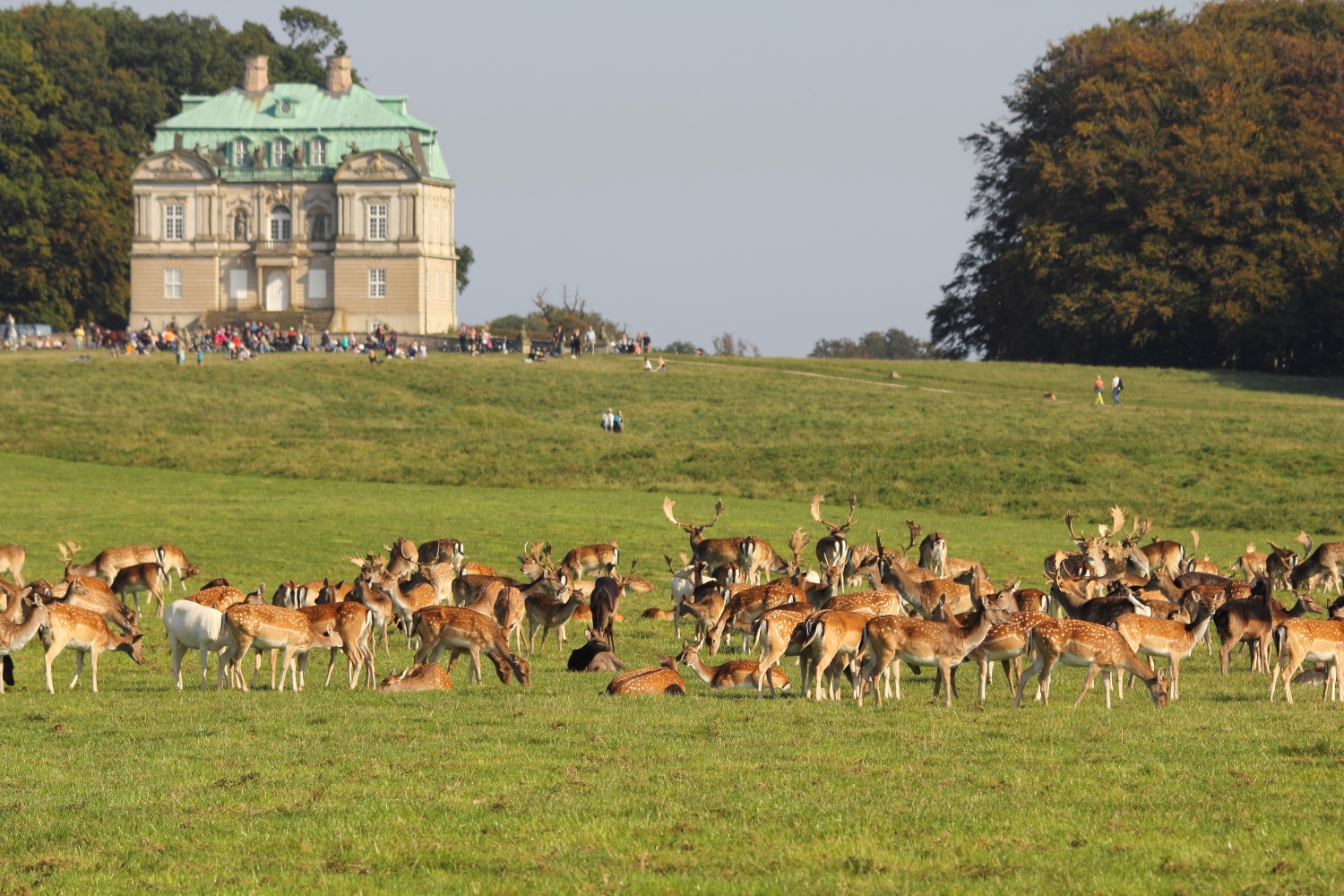 シェラン島北部の王室狩猟場の景観