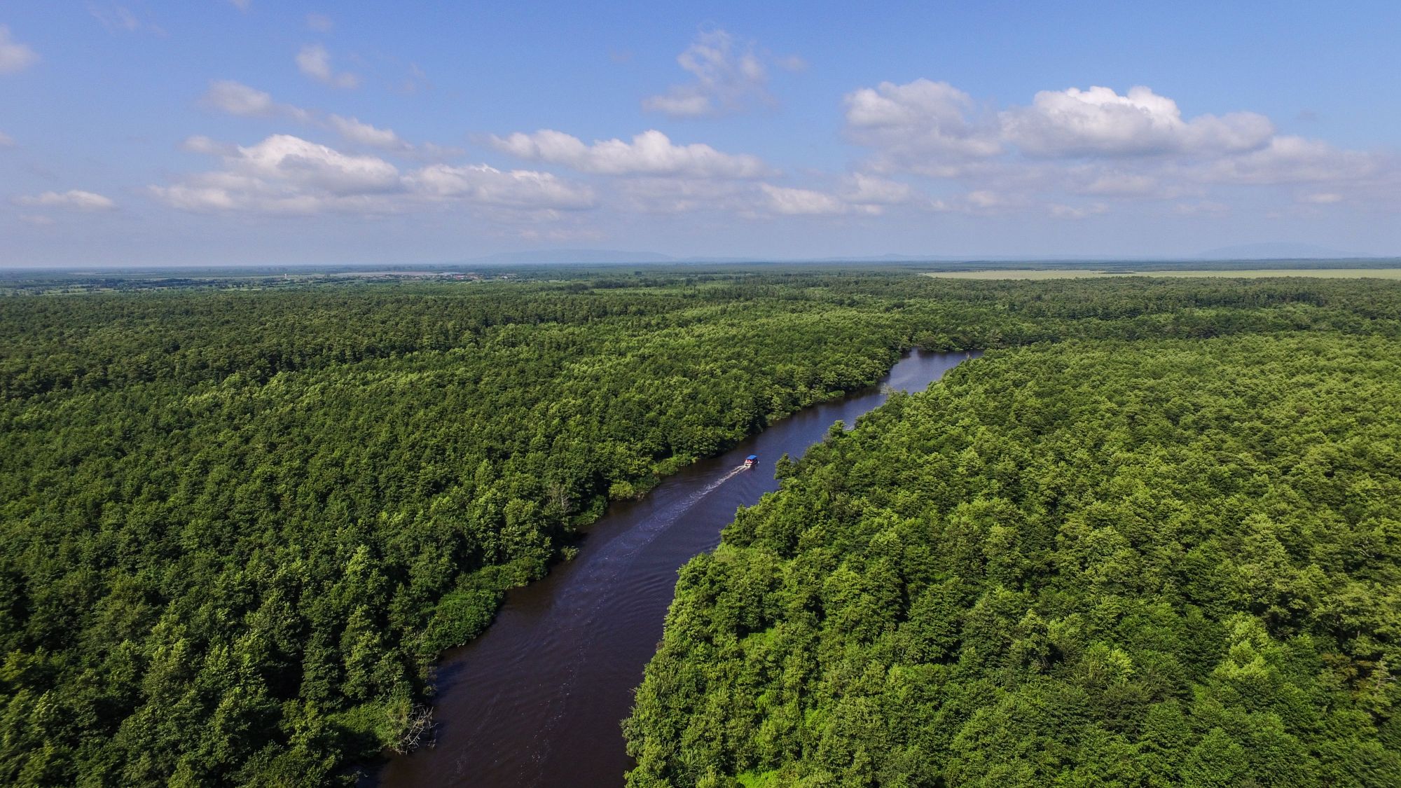 コルキスの多雨林群と湿地群