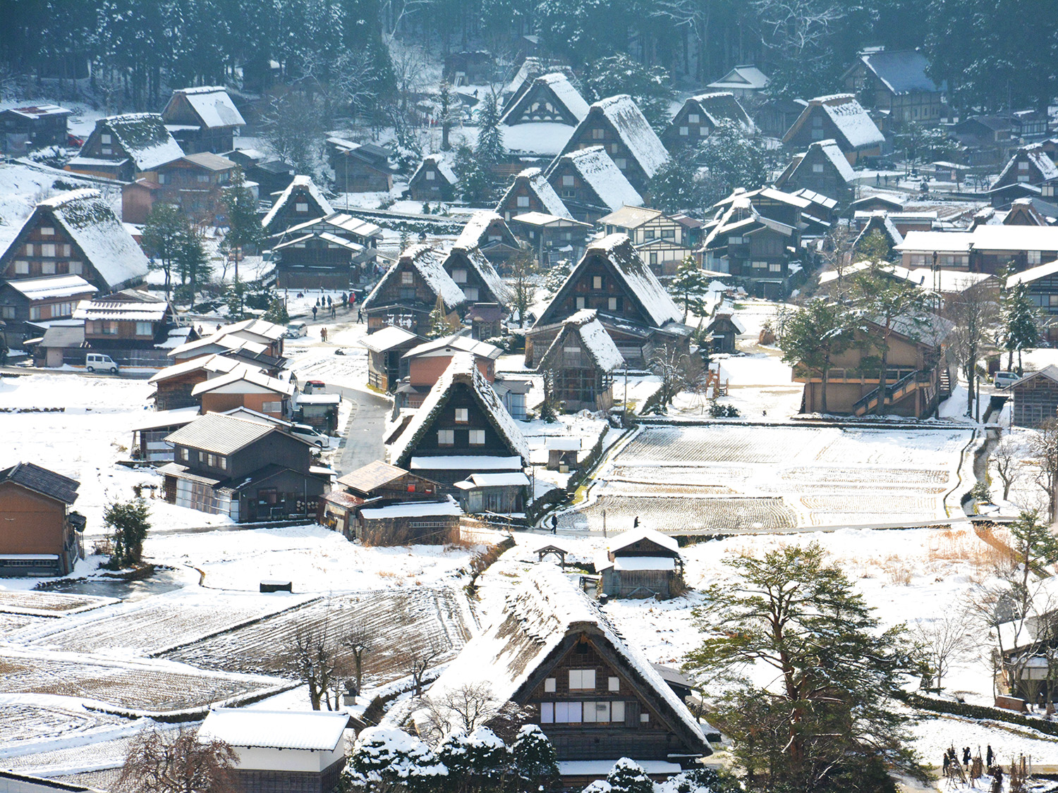 白川郷・五箇山の合掌造り集落