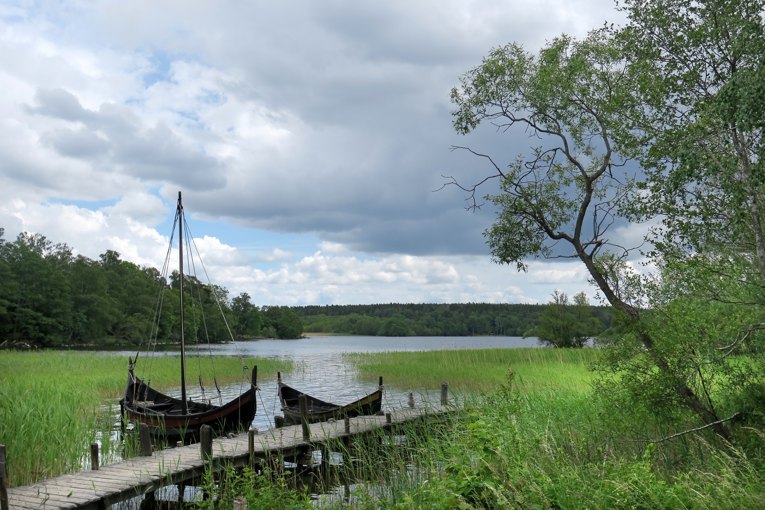 ビルカとホヴゴーデン