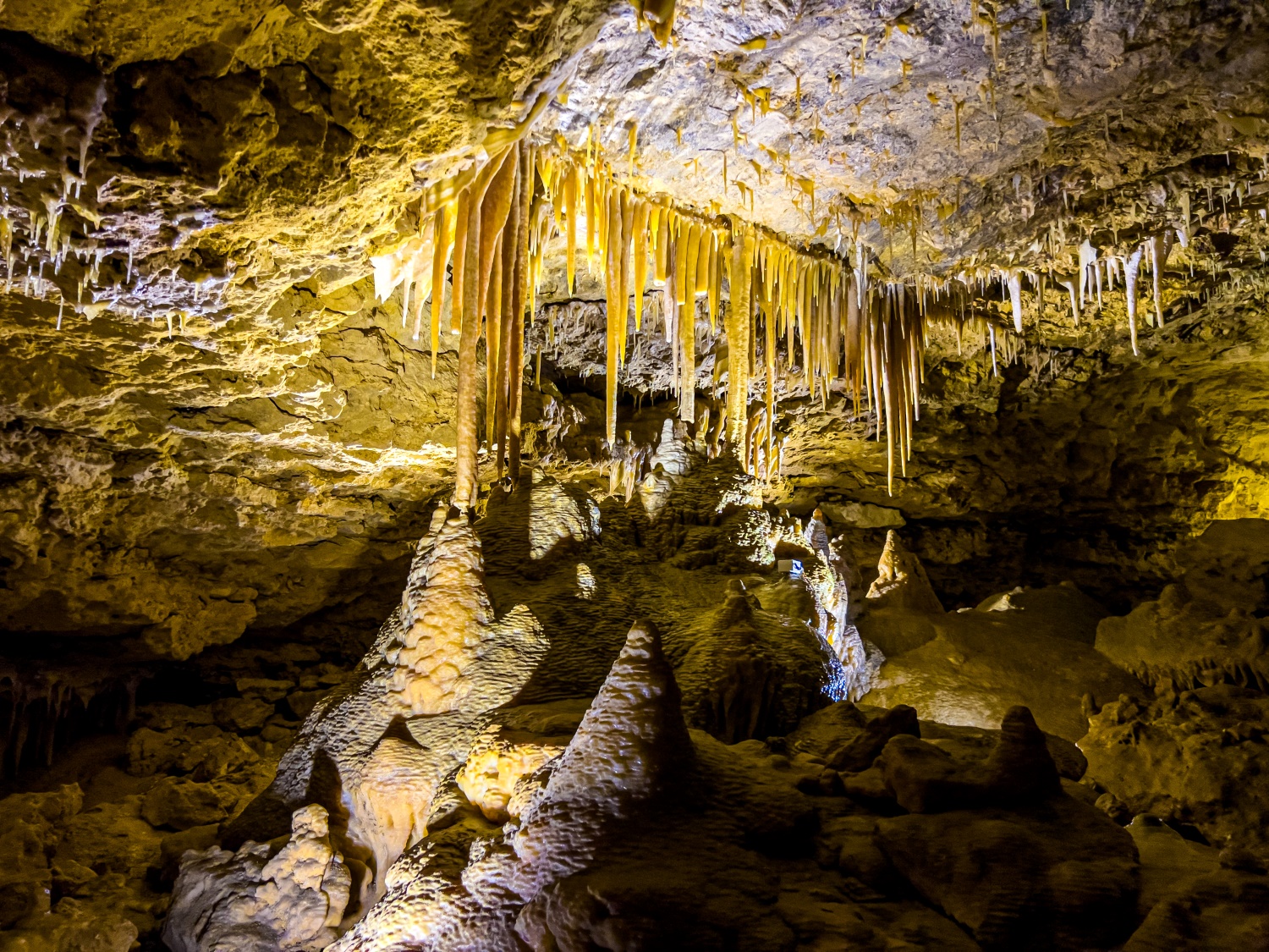 オーストラリアの哺乳類の化石保存地区