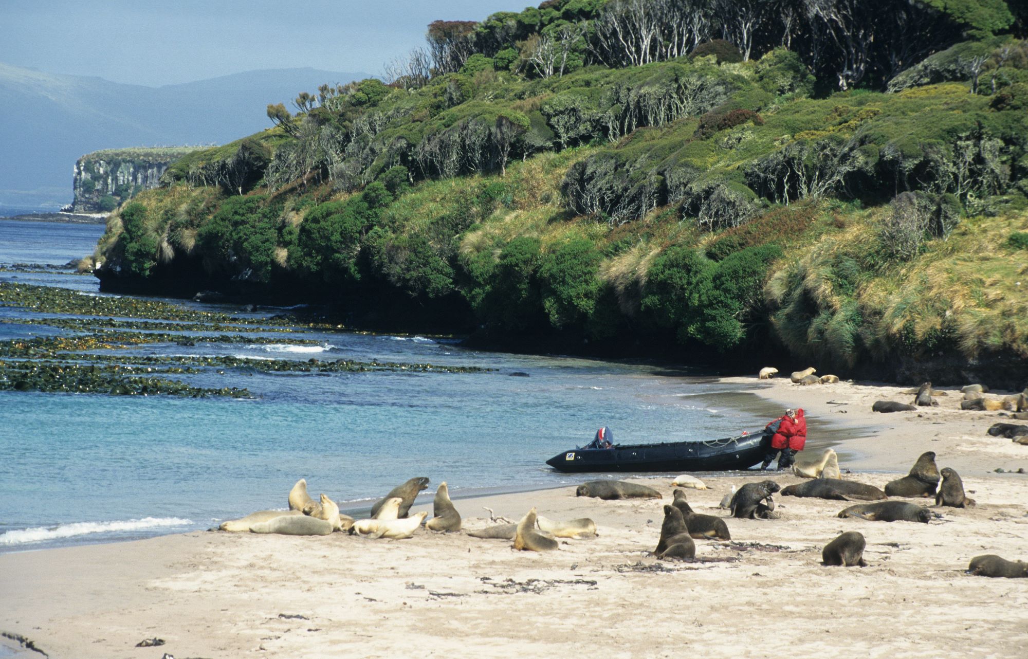 ニュージーランドの亜南極諸島