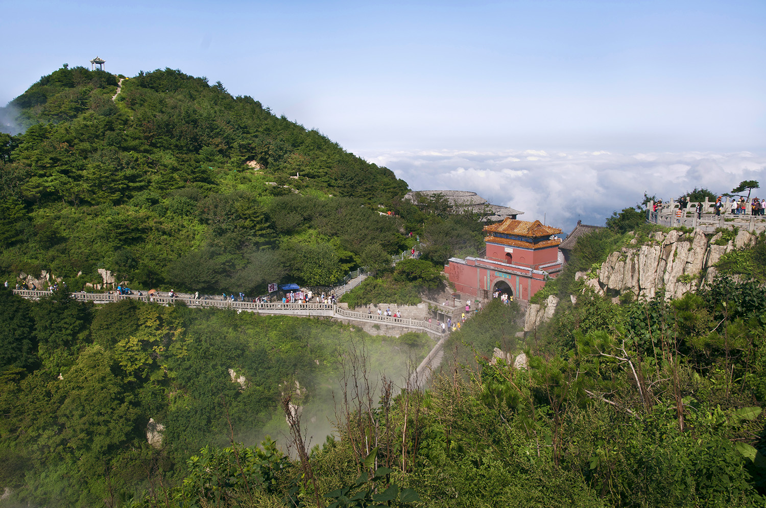泰山