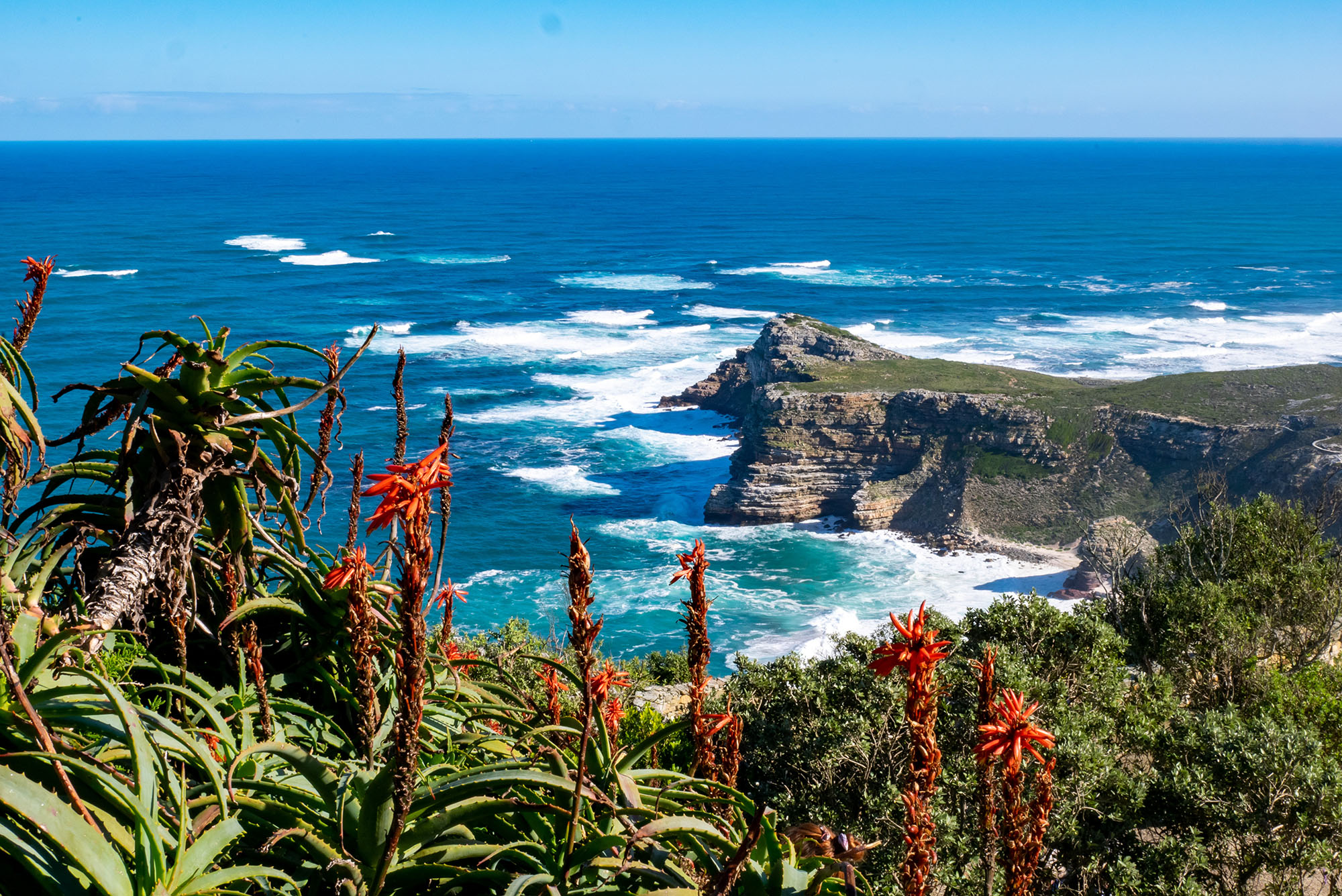 ケープ植物区保護地域群