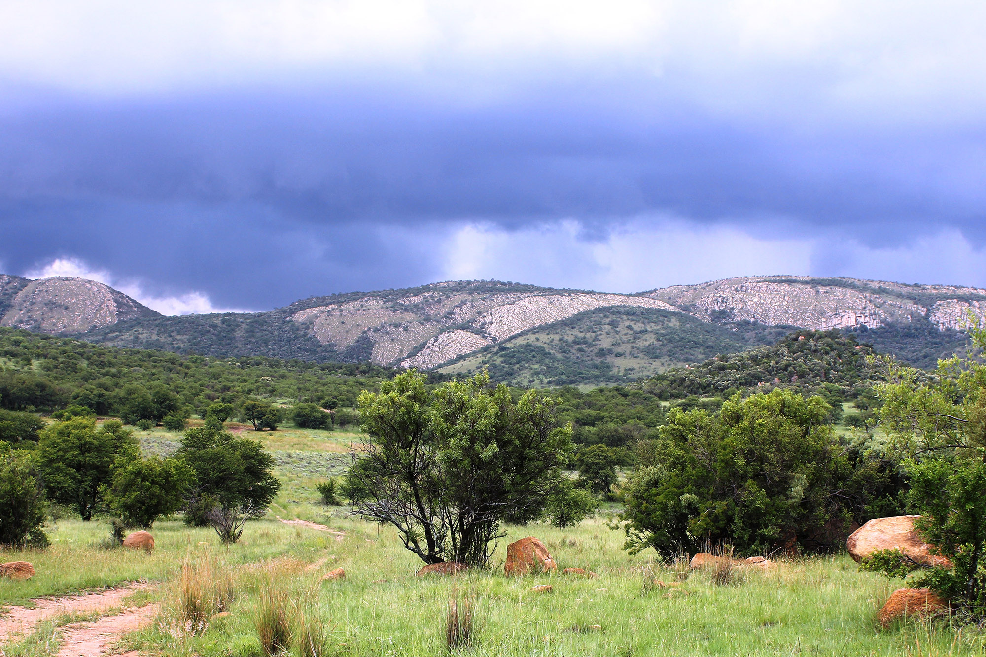 フレーデフォート・ドーム