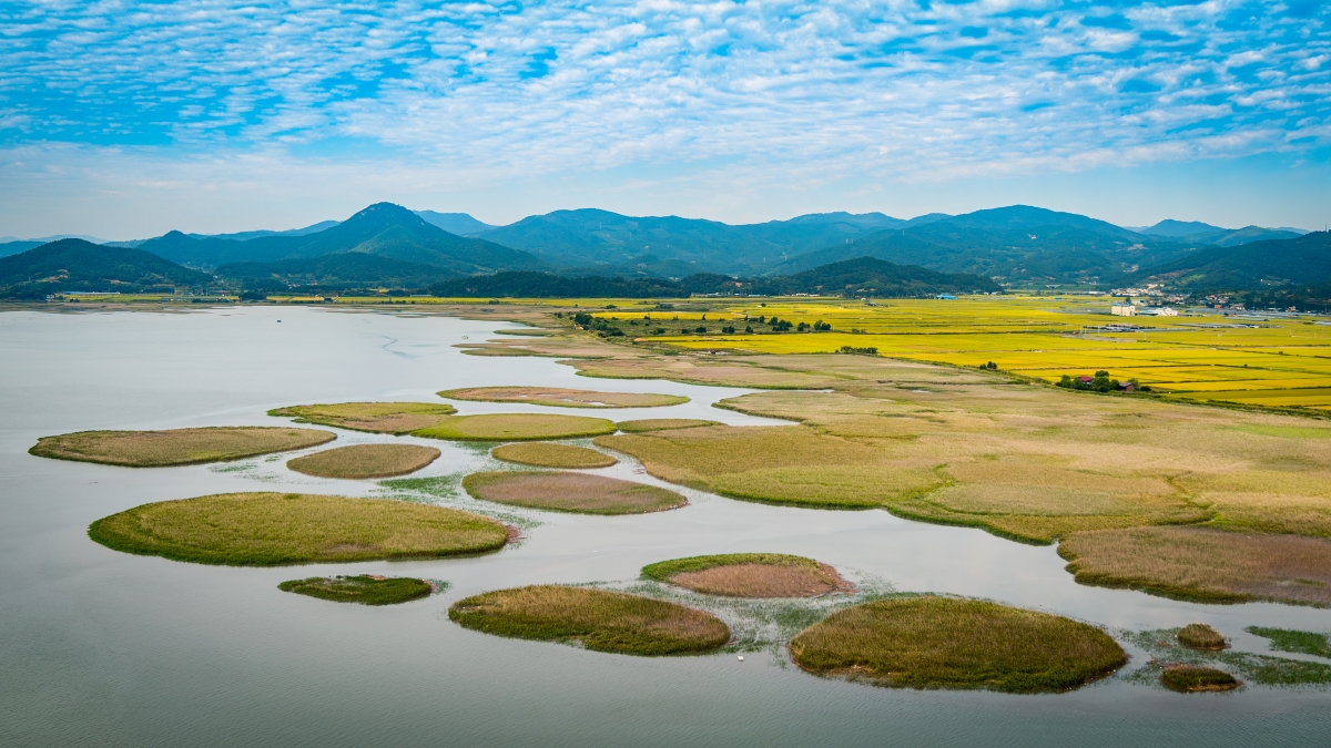 ゲボル：韓国の干潟