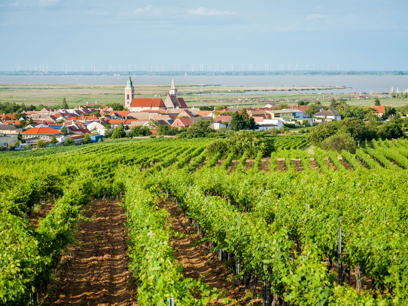 フェルテー（ノイジードル）湖の文化的景観