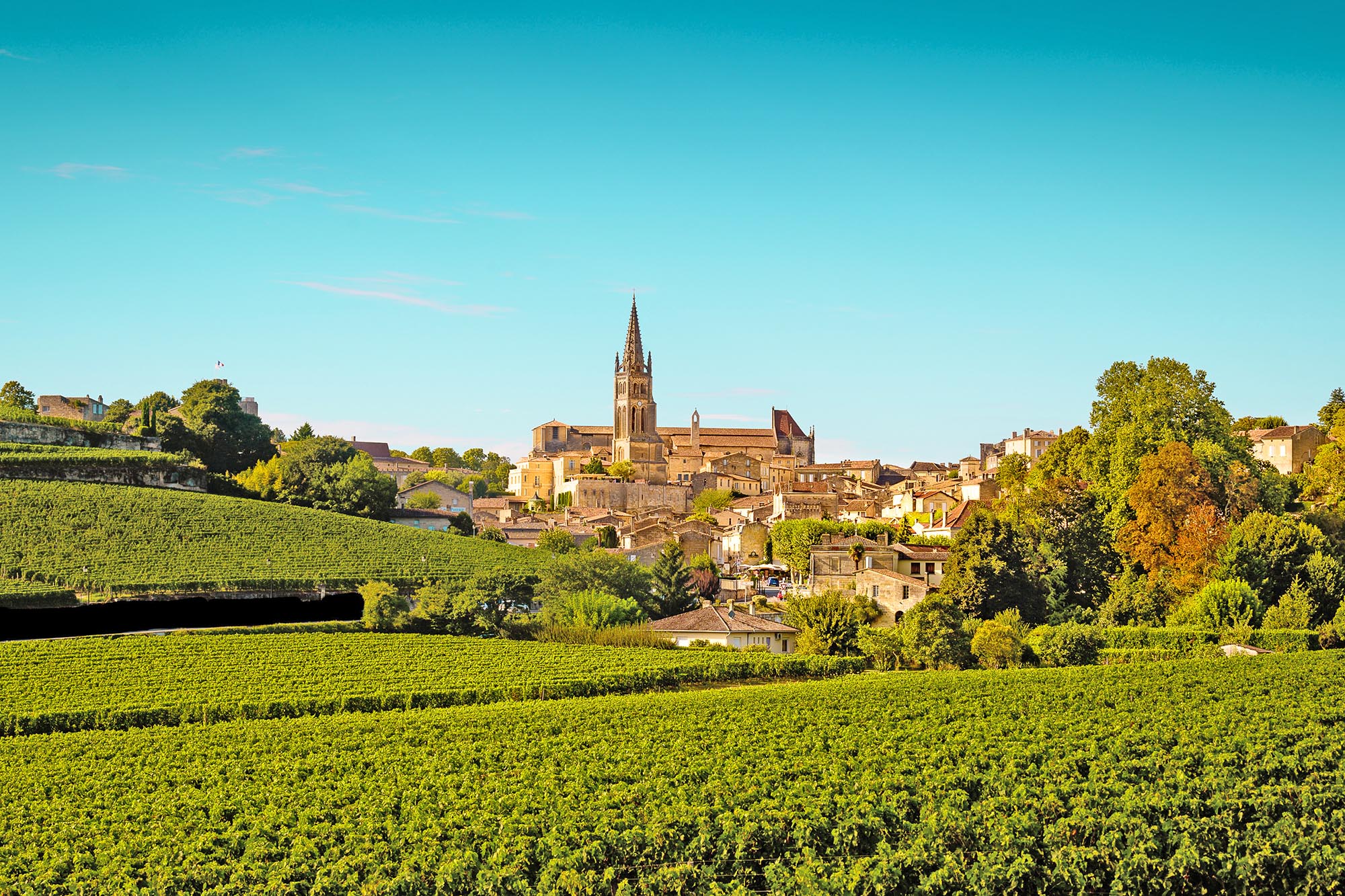 サン・テミリオン地域