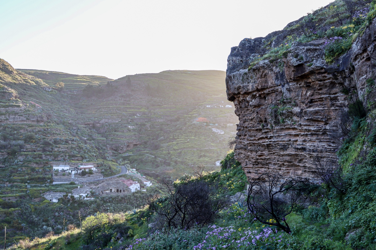 リスコ・カイド