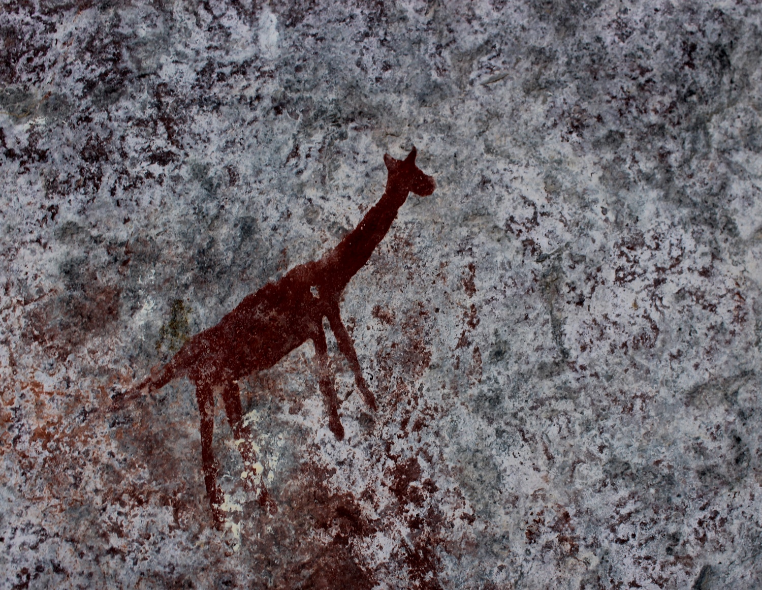 現代人的行動の出現:南アフリカにおける更新世の居住地群