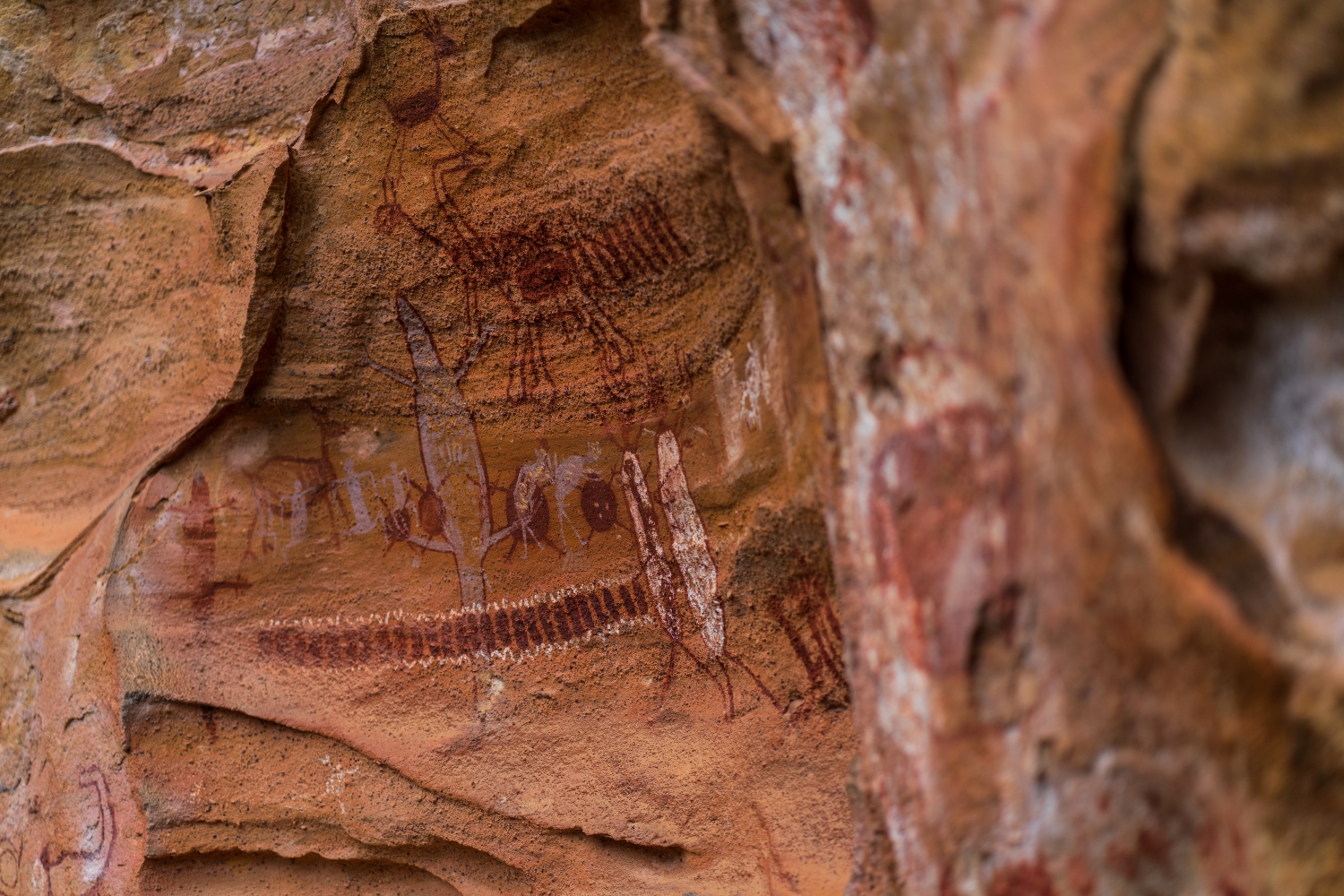 セラ・ダ・カピバラ国立公園