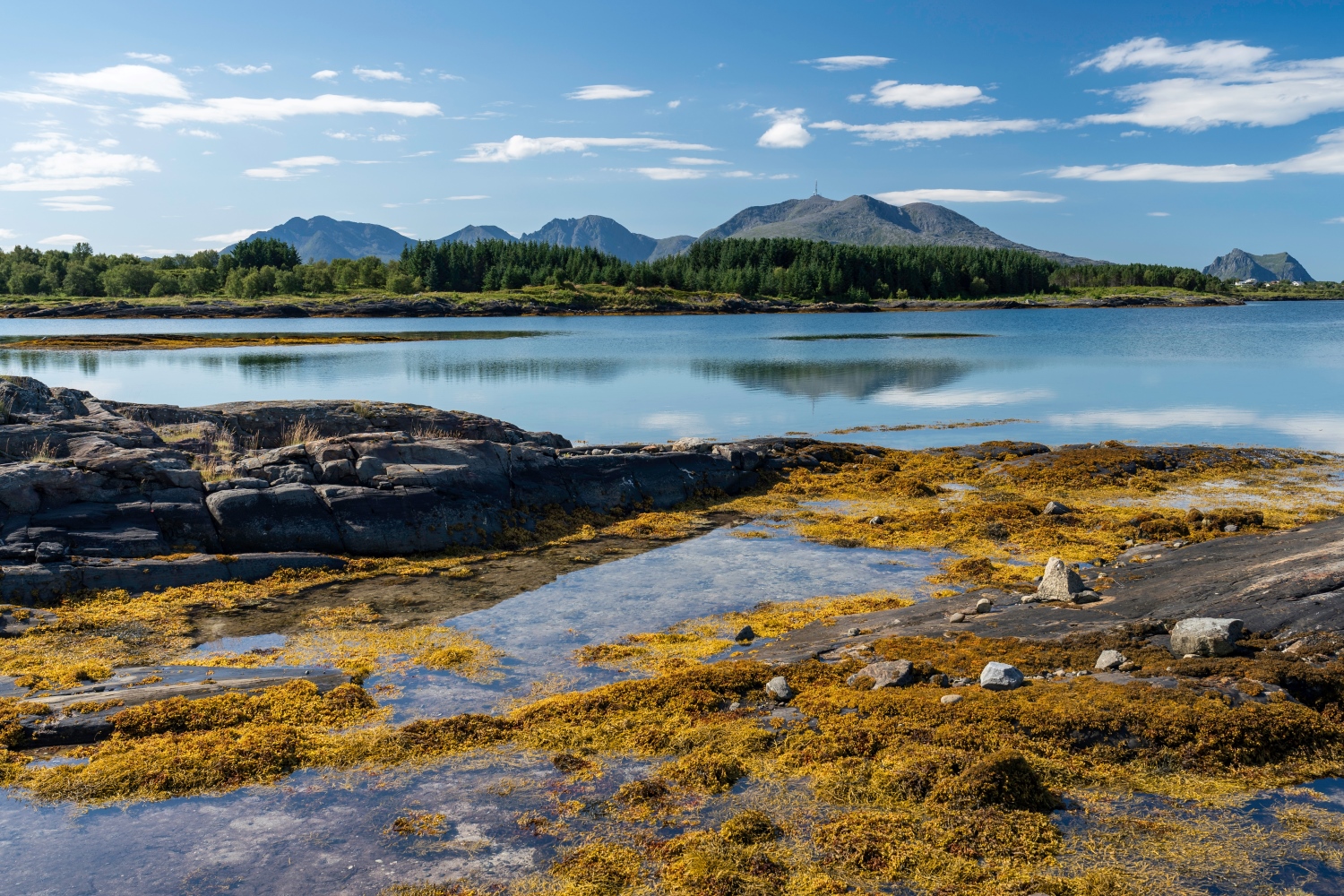 ヴェガエイヤン：ヴェガ群島