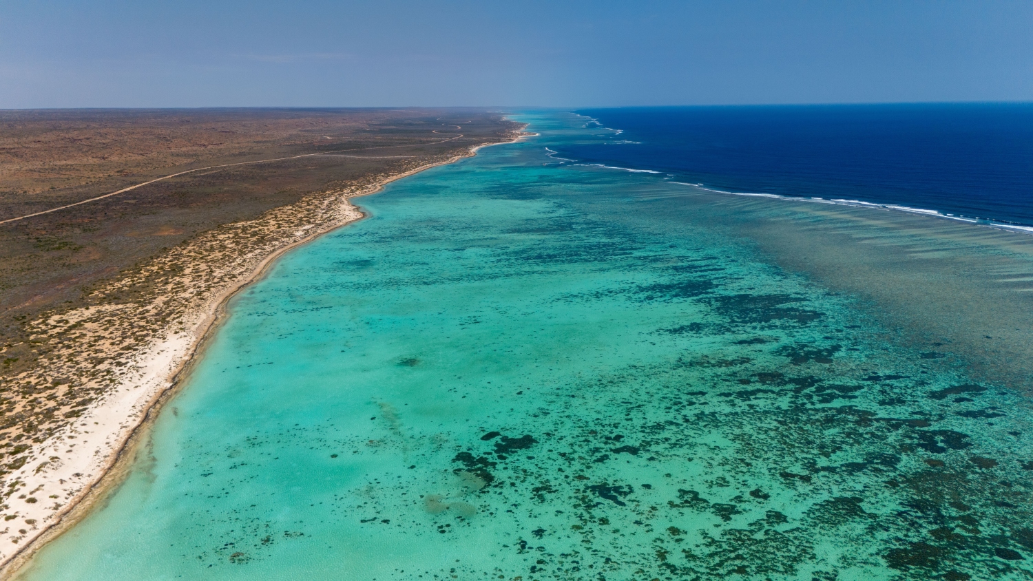 ニンガルー・コースト