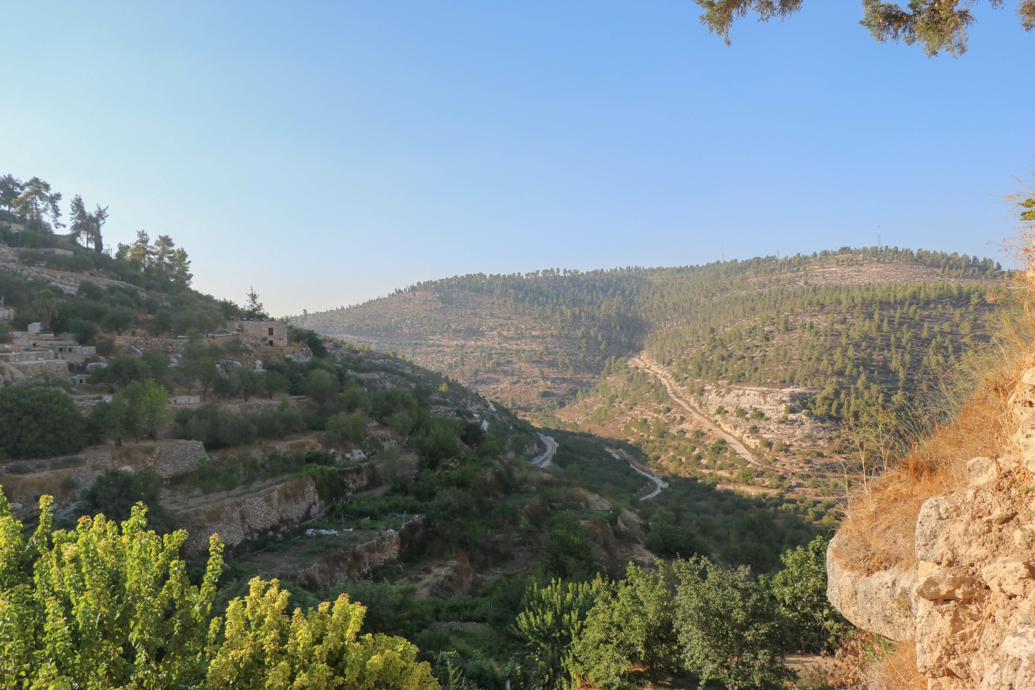 オリーヴとワインの土地－バッティールの丘：南エルサレムの文化的景観