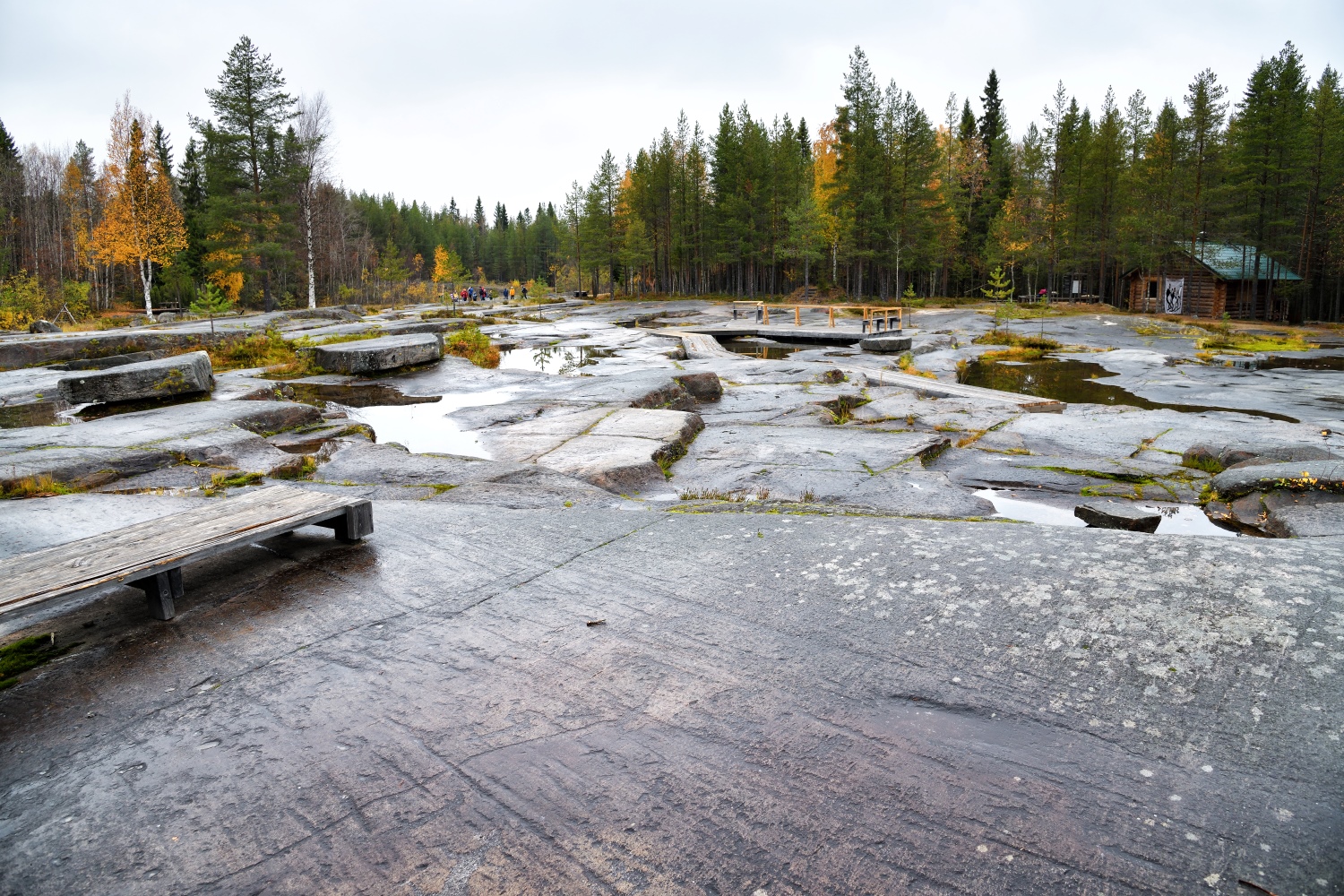オネガ湖と白海の岩絵群