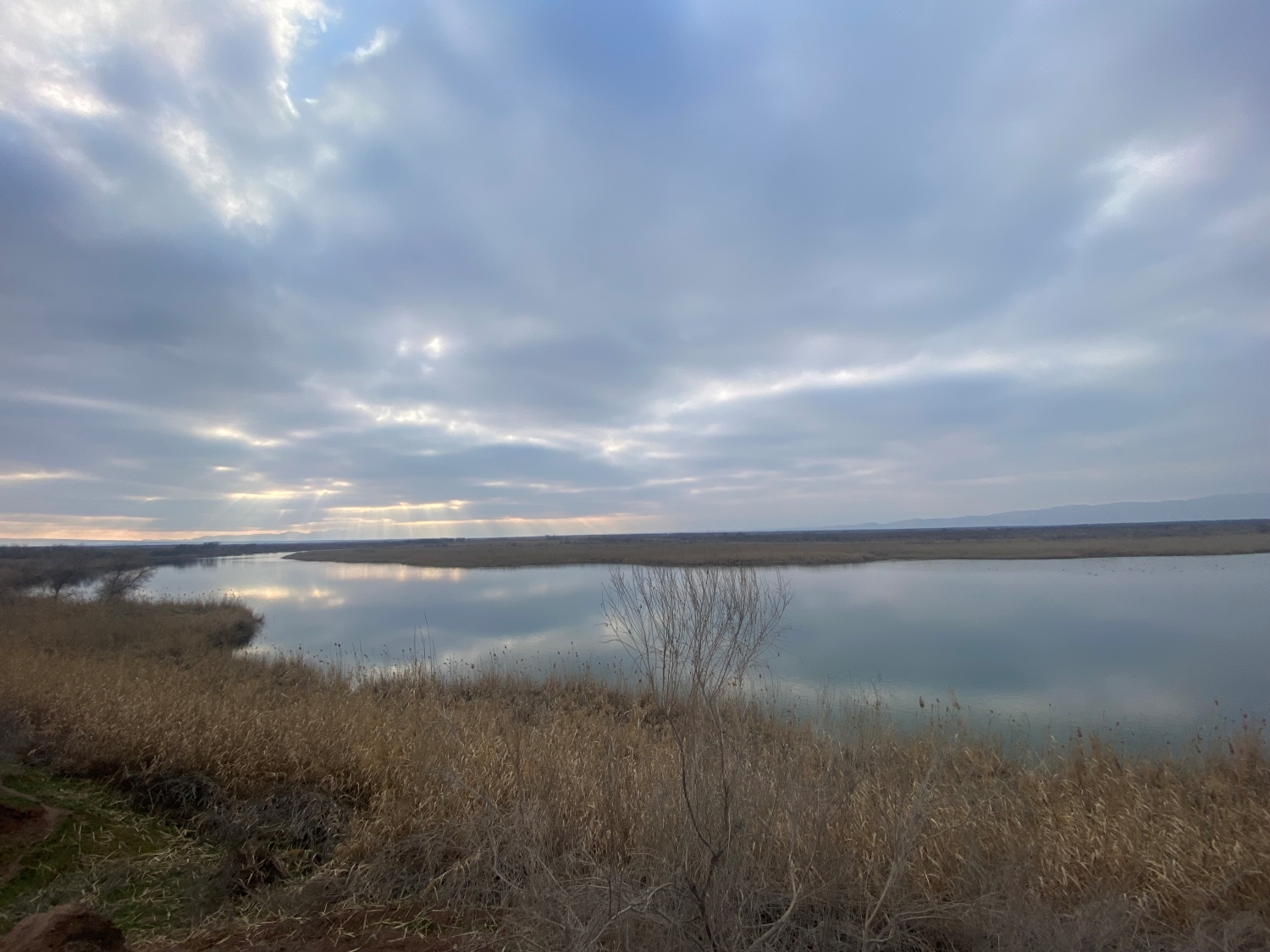 ティグローヴァヤ・バルカ自然保護区のツガイ森林群