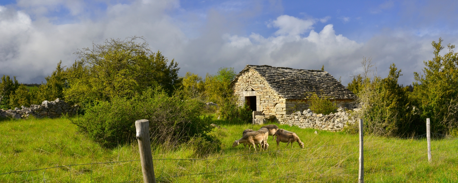 コースとセヴェンヌ：地中海性農業牧草地の文化的景観