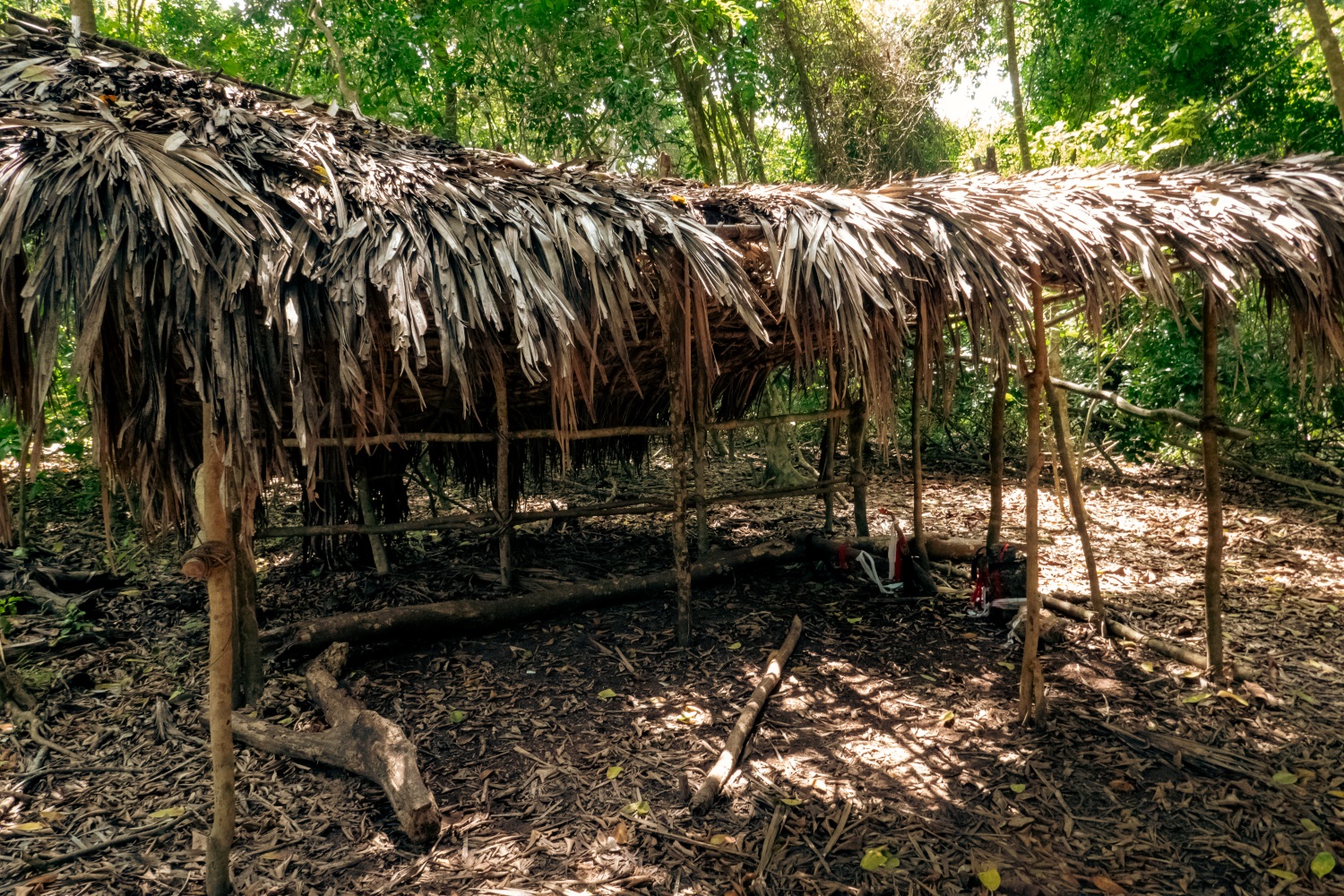 ミジケンダ諸族のカヤ聖域森林