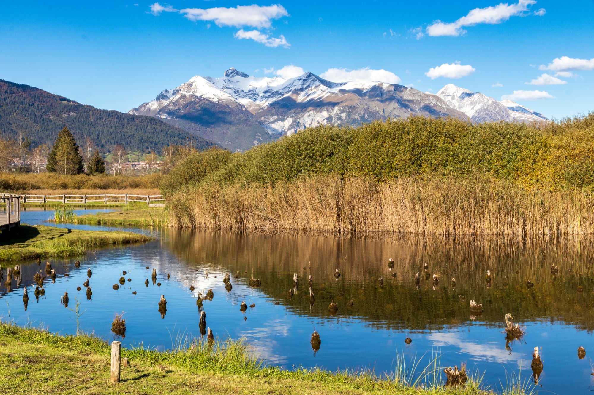 アルプス山脈周辺の先史時代の掘立柱住居群