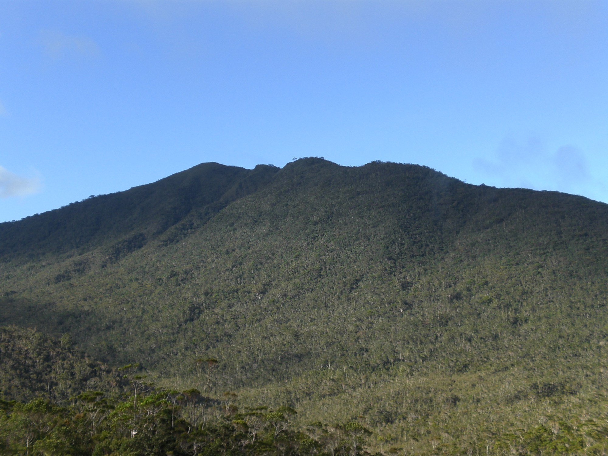 ハミギタン山岳地域野生動物保護区