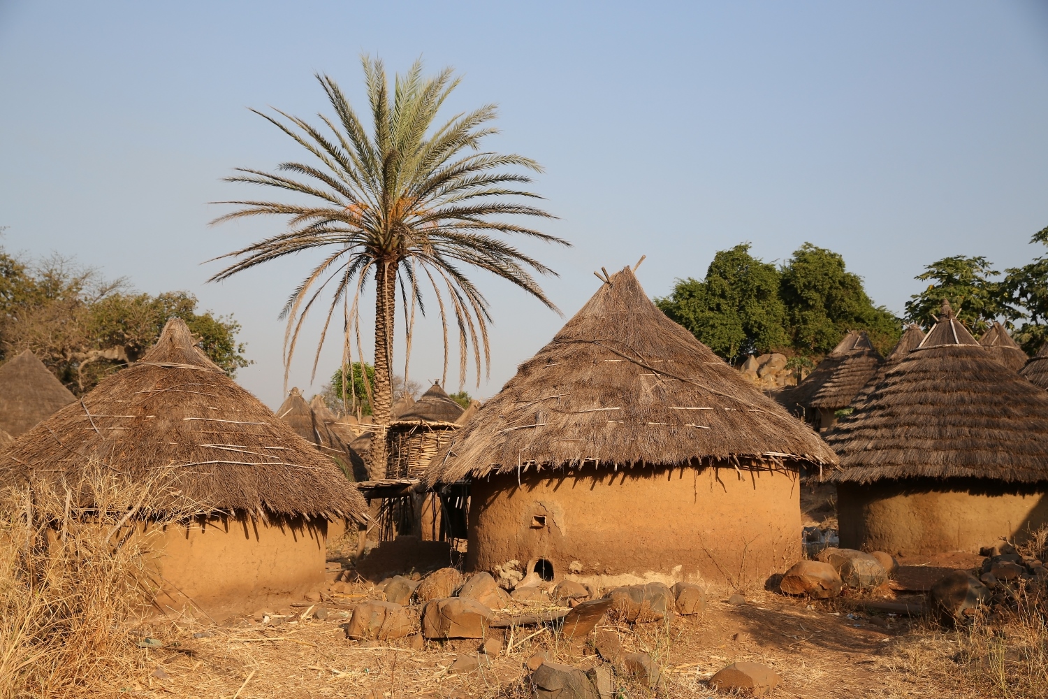 バッサーリ地方：バッサーリ族とフラ族、ベディク族の文化的景観