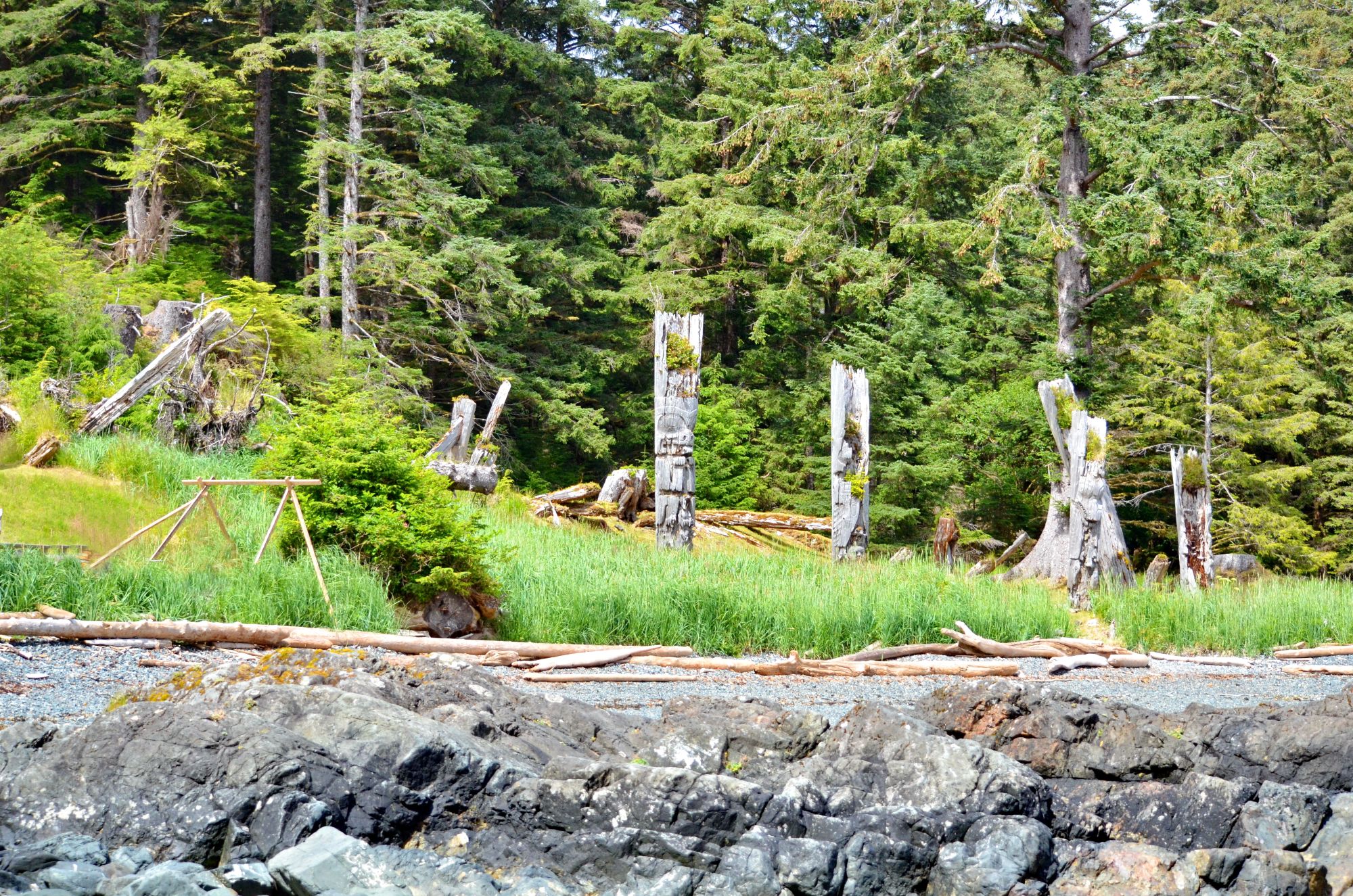 スカン・グアイ