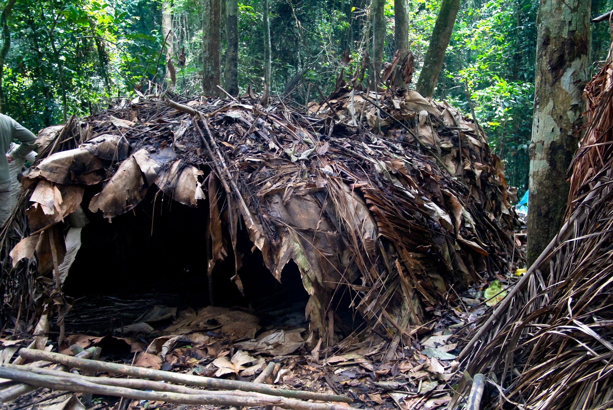 ジャー動物保護区