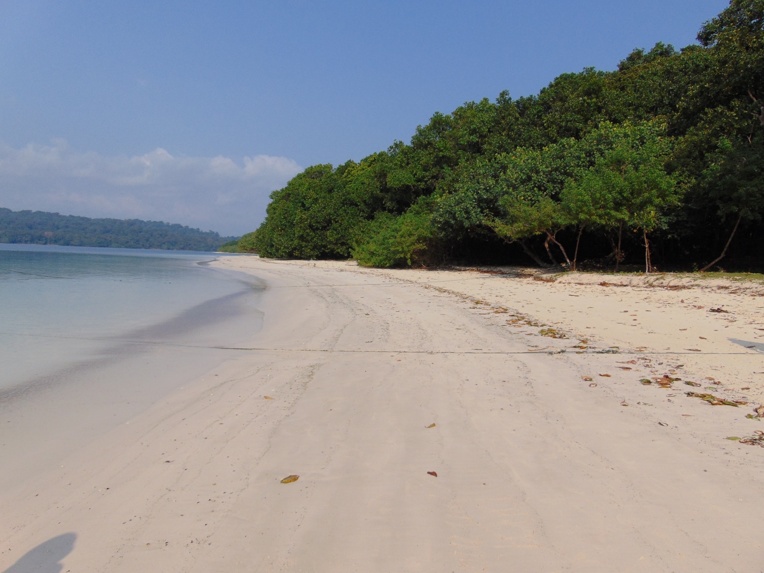 ウジュン・クロン国立公園