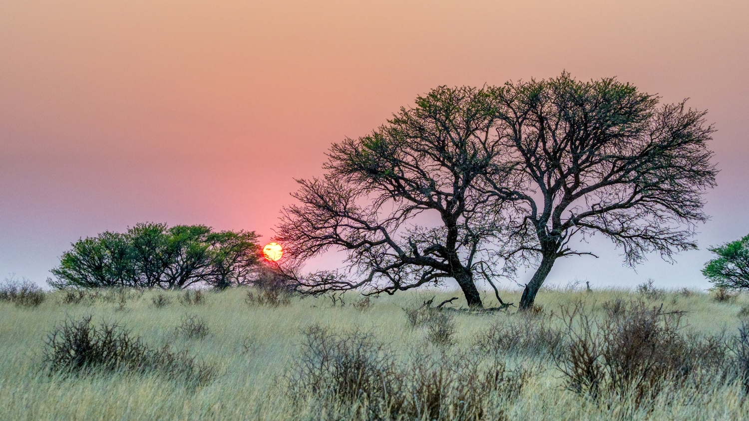 コマニの文化的景観