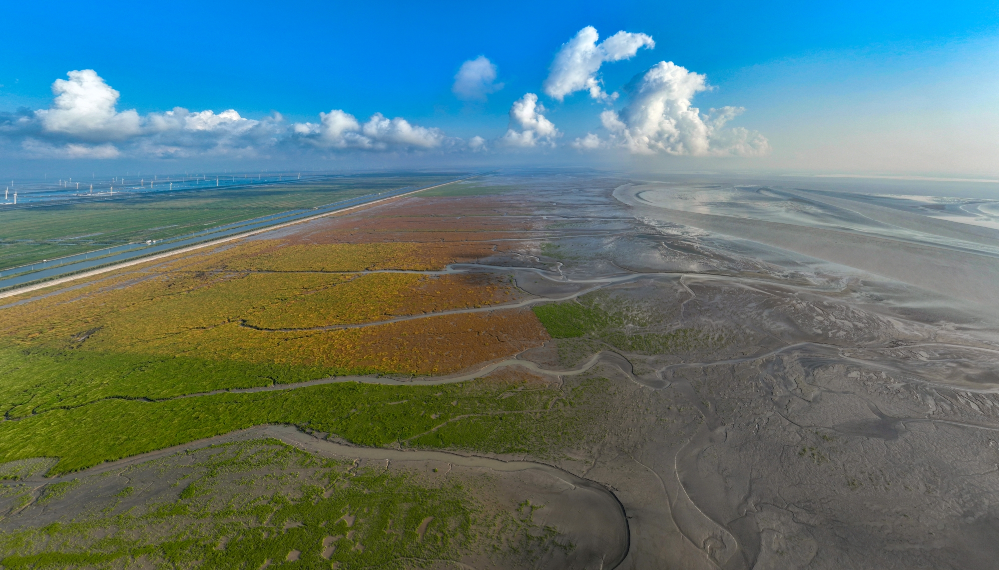 中国の黄海・渤海湾沿岸の渡り鳥保護区