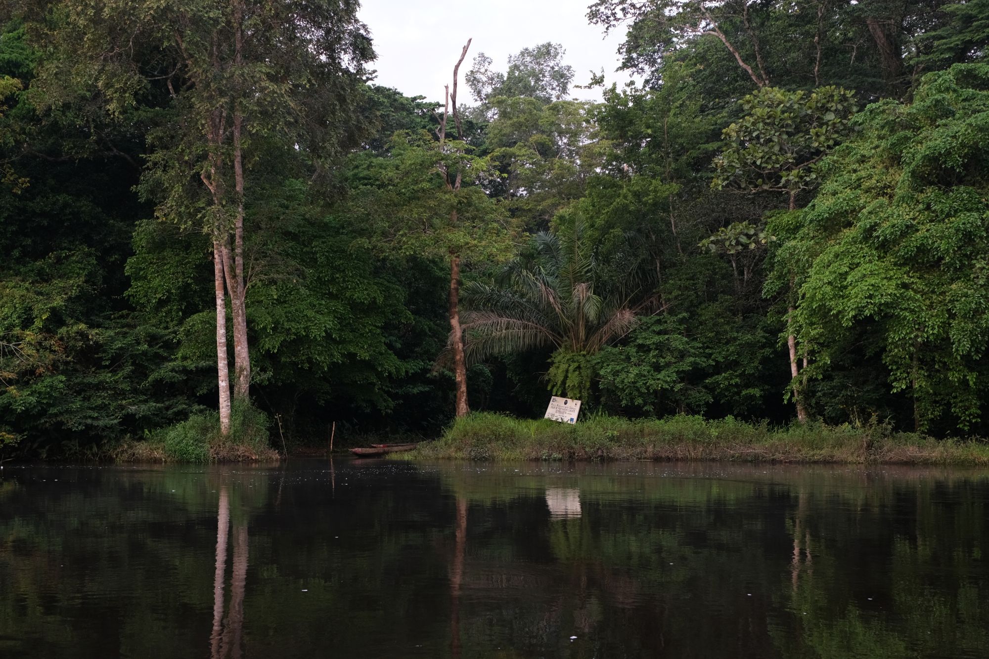 サロンガ国立公園