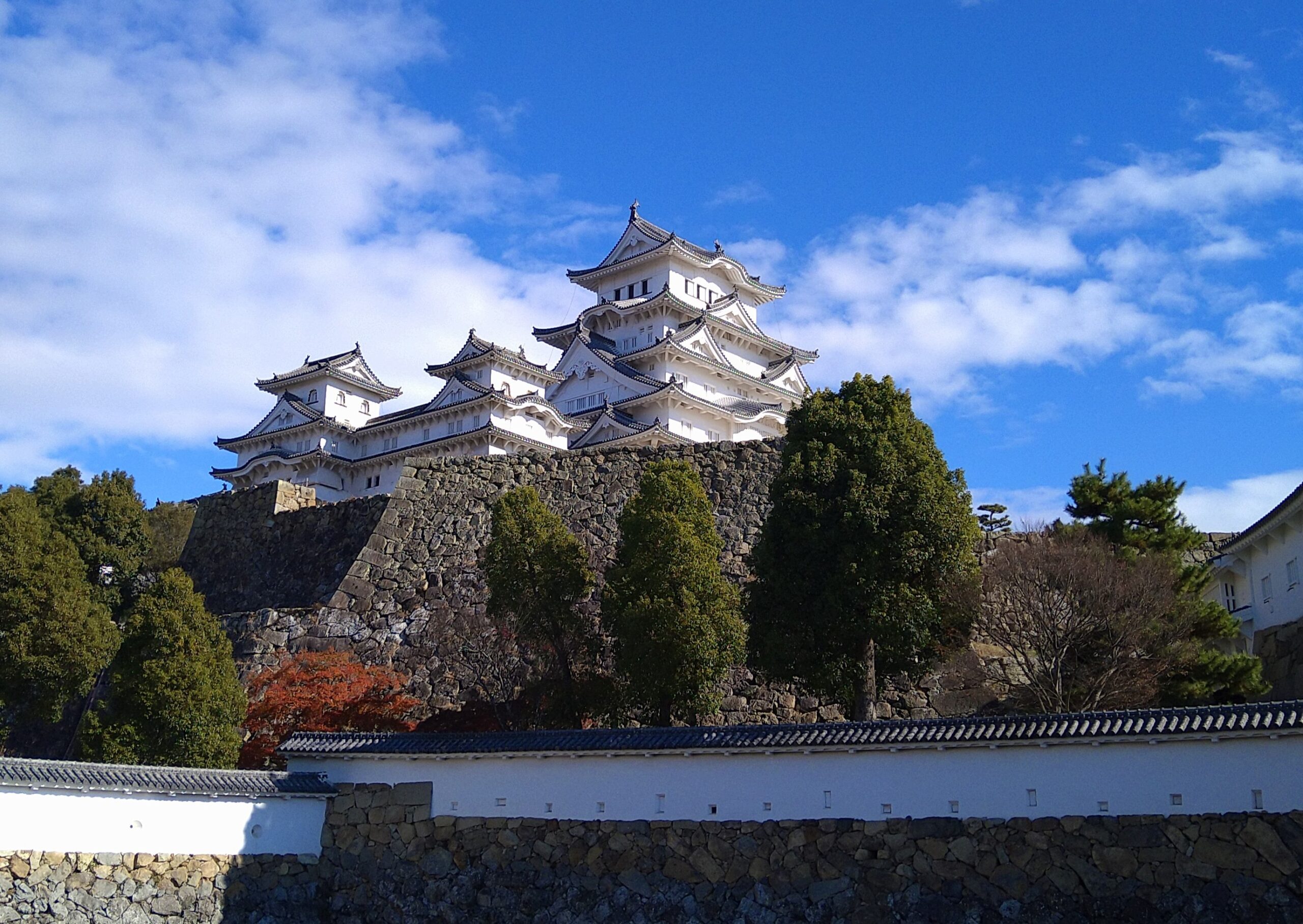【世界遺産はどう決まる？】第１１回｜さまざまな登録の仕方①
