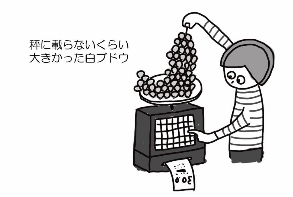 秤に載らないくらい大きかった白ブドウ