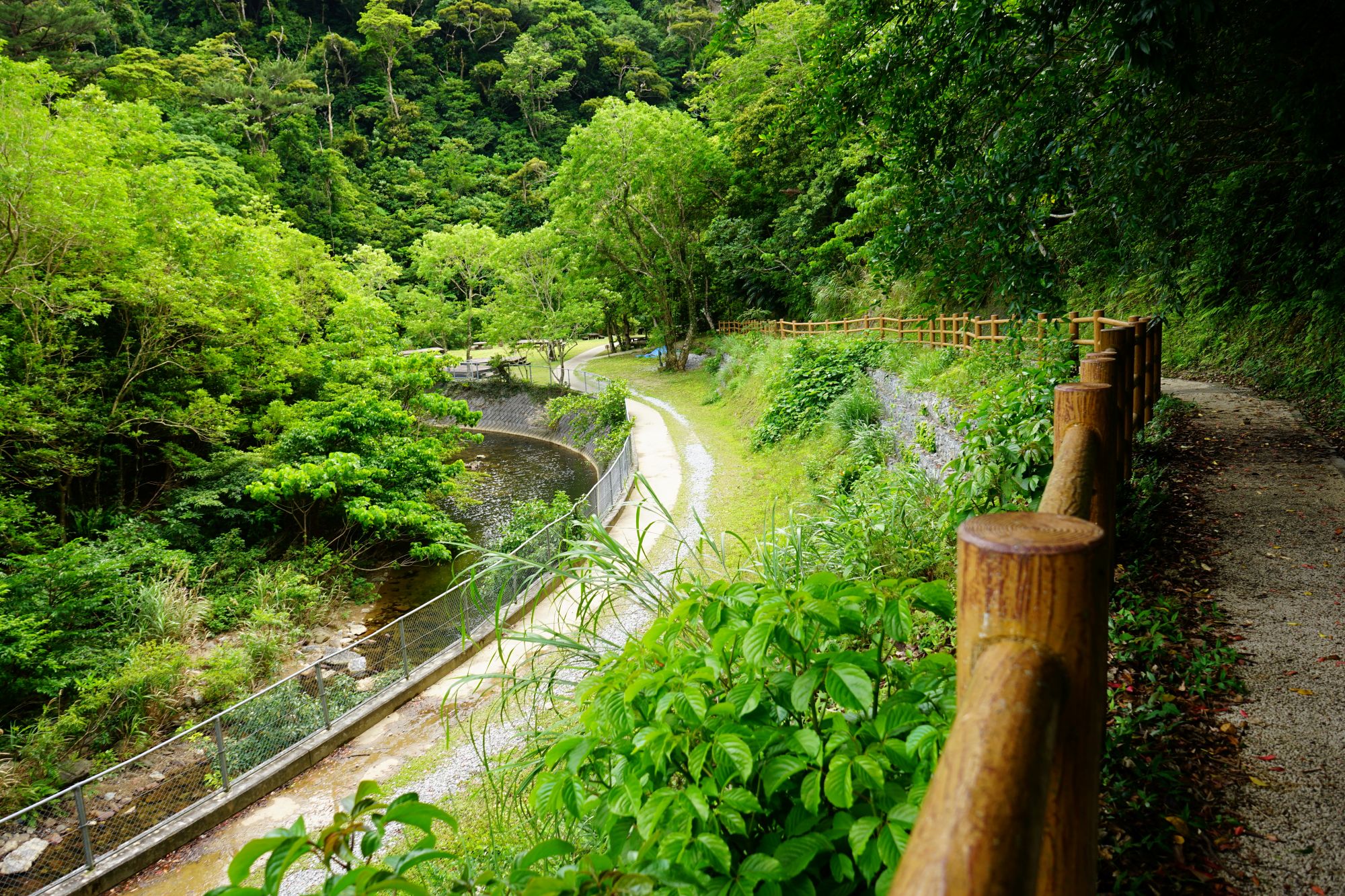 沖縄島北部