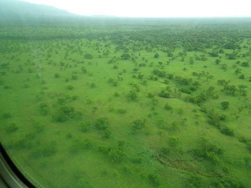 ボマとバディンギロにおける動物の渡りの景観