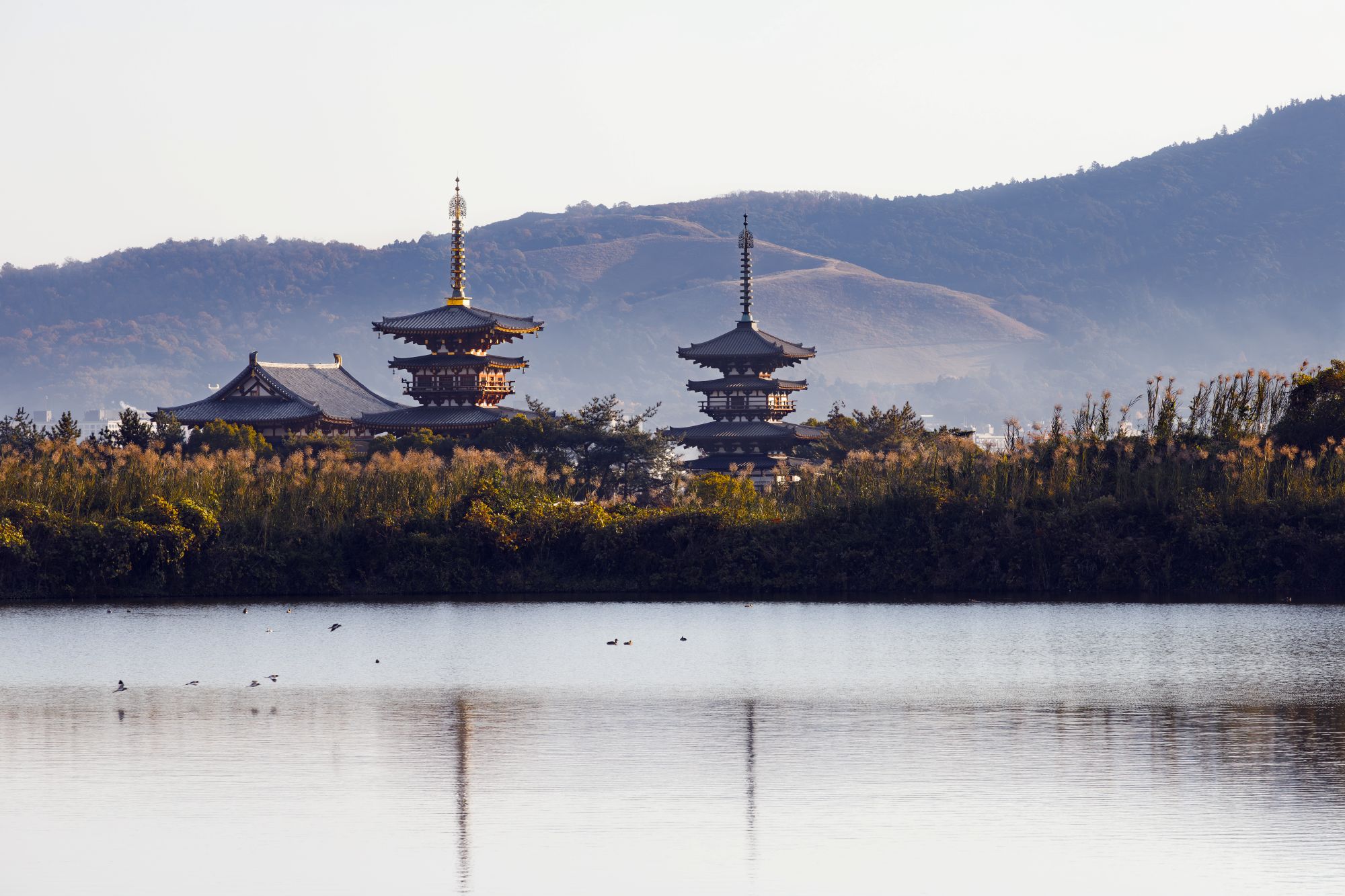 薬師寺
